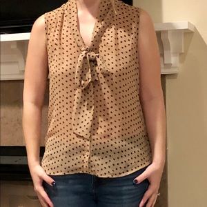 Sheer polka dot blouse